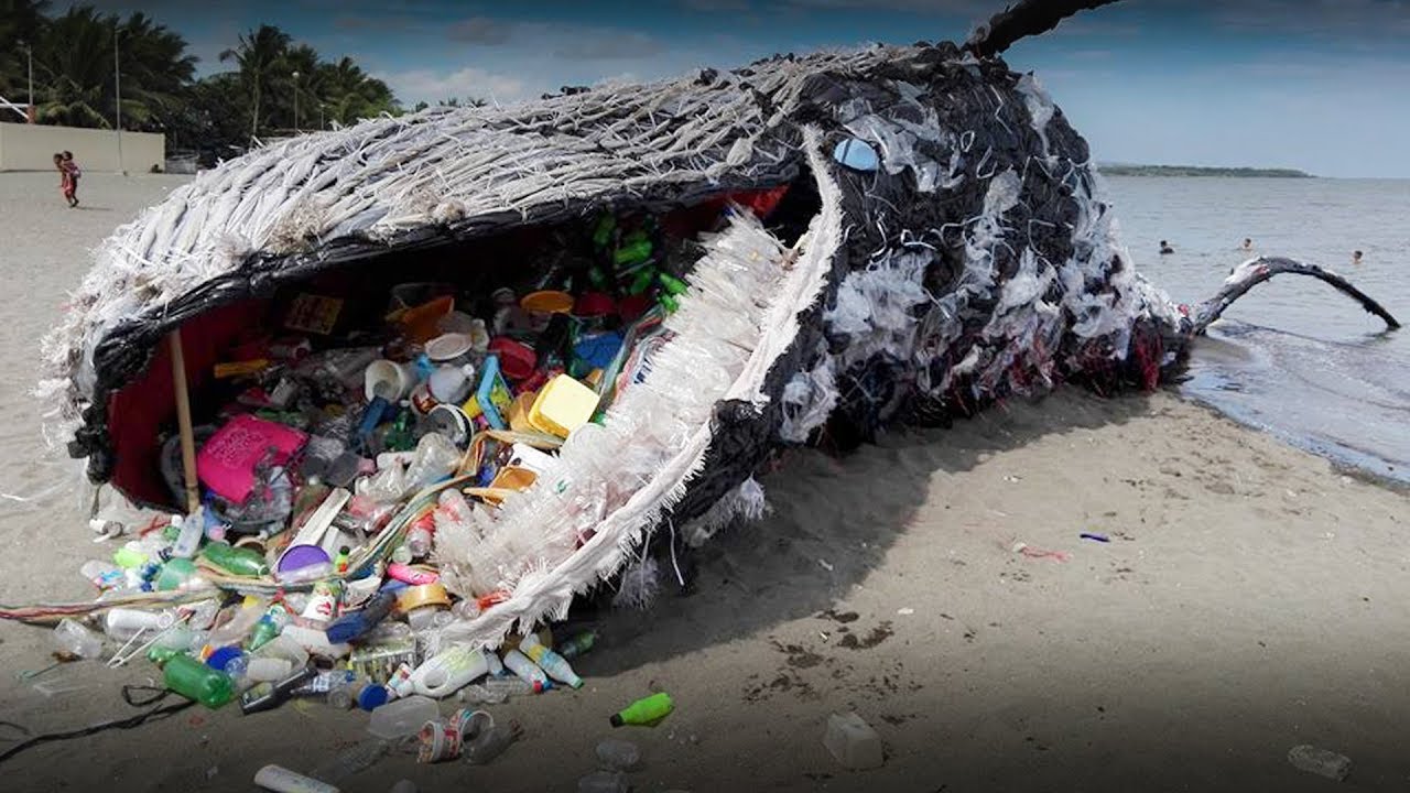 Read more about the article An Cosmetic Expert’s view on plastic pollution