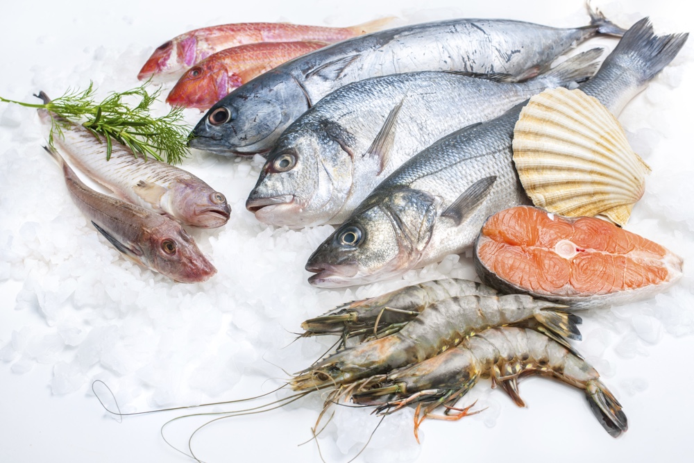 Lire la suite à propos de l’article Est-ce que c’est sain de manger du poisson? Une mise à jour du groupe surpêche de TAF