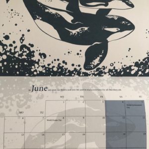 TAF 2022 Calendar