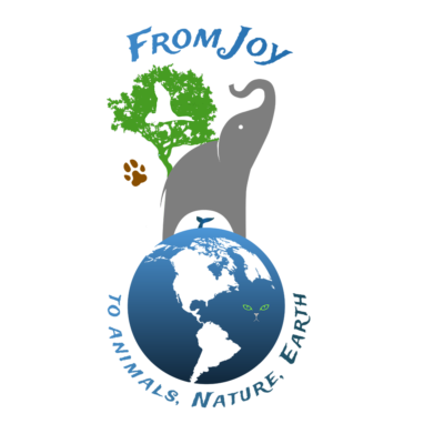 Водный форум. Эмблема для Всемирных водных ресурсов. Фонд спасения Арала логотип. Всемирный Водный совет логотип.